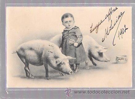 Postales: TARJETA POSTAL DE NI&Ntilde;O CON CERDITOS. - Foto 1