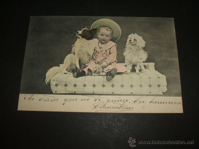 Postales: NI&Ntilde;O CON PERROS POSTAL ANTIGUA - Foto 1