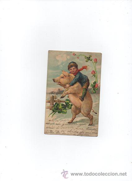 Postales: POSTAL DE NI&Ntilde;O JUGANDO CON UN CERDO --- A&Ntilde;O 1911 --CIRCULADA