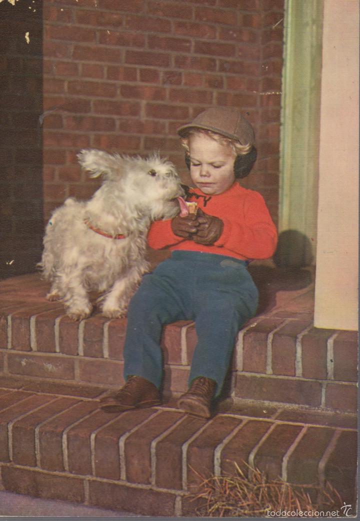 Postales: postal de ni&ntilde;o con perro - Foto 1