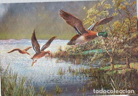 Postales: POSTALE DE PATOS EN VUELO ESCRITA - Foto 1