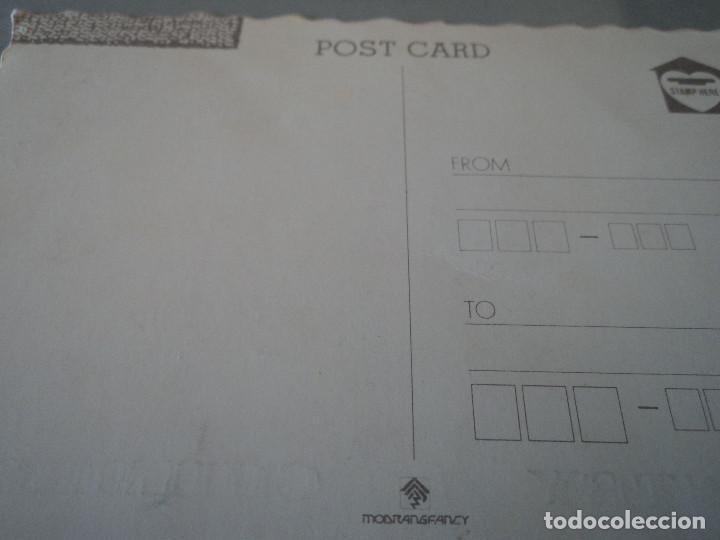 Postales: POSTAL country children - Foto 2