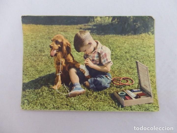 Postales: POSTAL NI&Ntilde;O CON PERRO SERIE 3006 - Foto 1