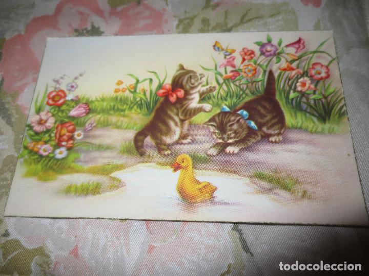 Postales: c y z  563  gatitos - Foto 1