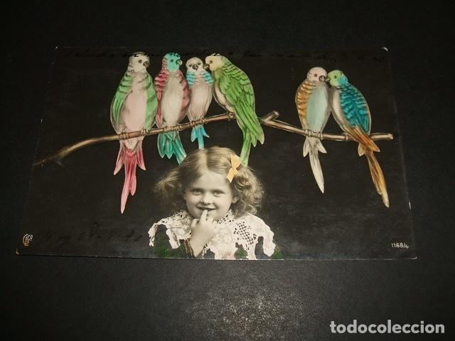 Postales: NI&Ntilde;A CON LOROS POSTAL 1906 - Foto 1