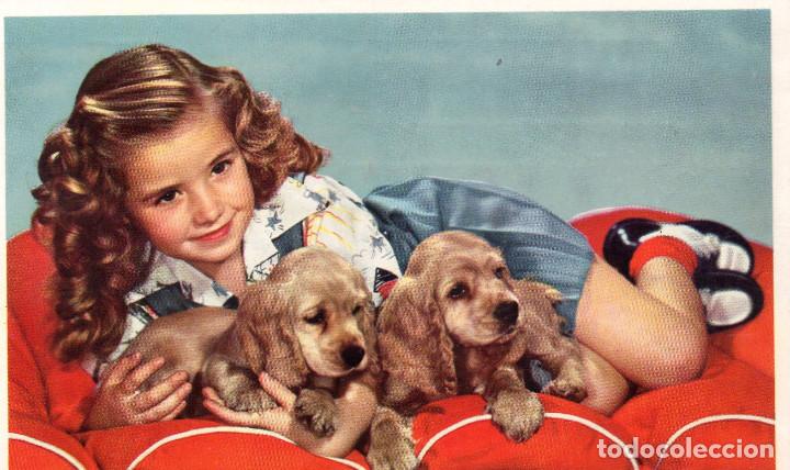 Postales: NI&Ntilde;A CON PERROS - Foto 1