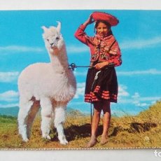 Postales: POSTAL PASTORCITA CON SU ALPACA DOMESTICA, CUZCO, PERU. POST CARD. Lote 108887275