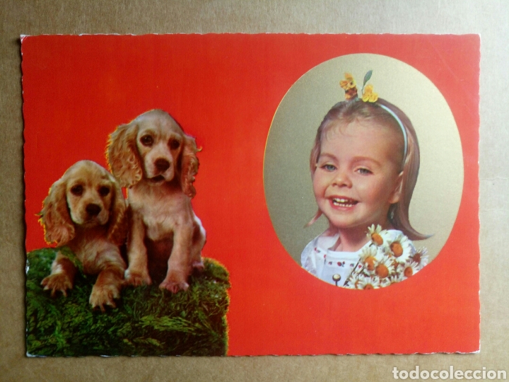 Postales: postal ni&ntilde;a con perros cocker cecami italia - Foto 1