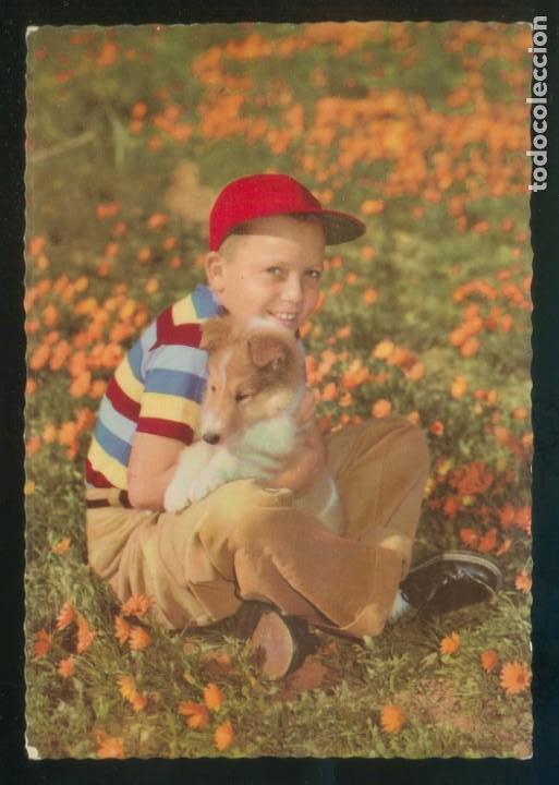 Postales: Ed. C. y Z. n&ordm; 6141. Escrita. - Foto 1