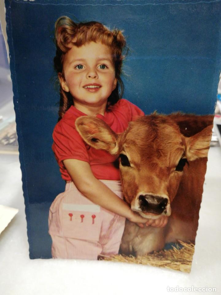 Postales: Ni&ntilde;a con vaca. - Foto 1