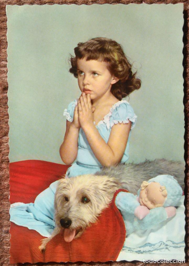 niña con perro - ed.: c y z - serie 619 Comprar Postales antiguas de niños en todocoleccion 152739754