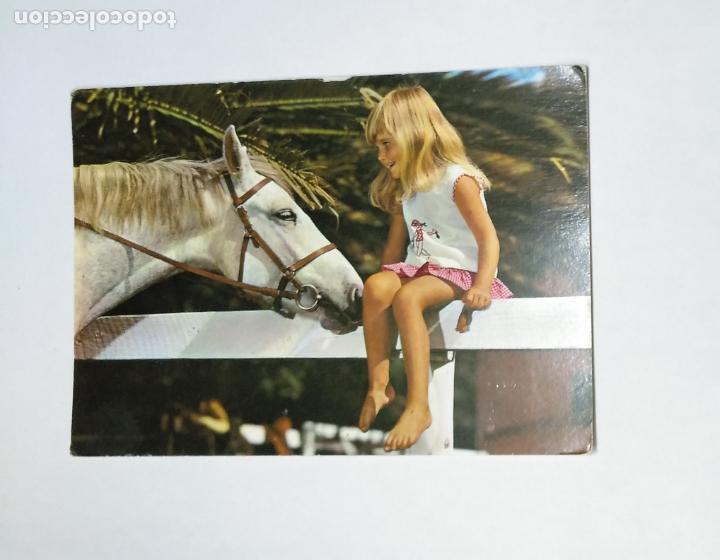 Postales: POSTAL CABALLO Y NI&Ntilde;A. TDKP14 - Foto 1
