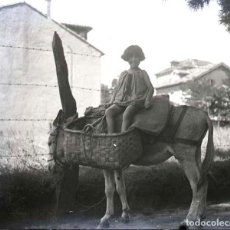 Postales: FOTOGRAFIA ESTEREOSCOPICA DE CRISTAL, NIÑA EN BURRO, AÑOS 1920 APROX. MIDE 13 X 6 CMS. NEGATIVO QUE