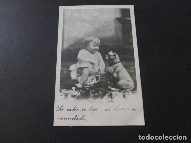 Postales: NI&Ntilde;A CON PERRO POSTAL - Foto 1