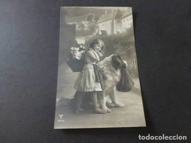 Postales: NI&Ntilde;A CON SAN BERNARDO POSTAL - Foto 1
