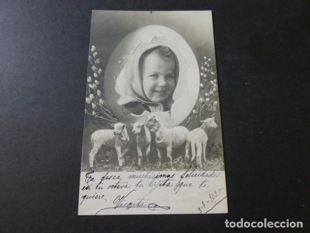 Postales: NI&Ntilde;A CON CORDERITOS POSTAL - Foto 1