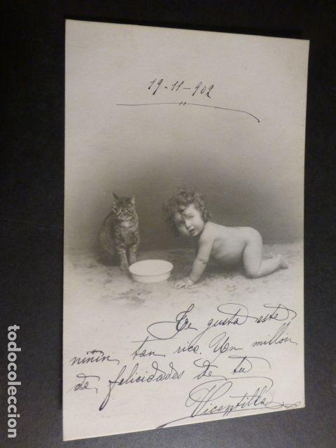 Postales: BEBE CON ORINAL Y GATO POSTAL - Foto 1