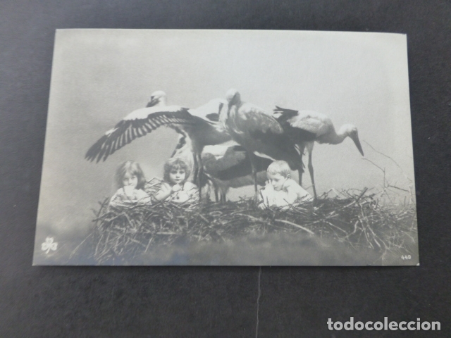 Postales: NI&Ntilde;OS CON CIG&Uuml;E&Ntilde;AS POSTAL - Foto 1