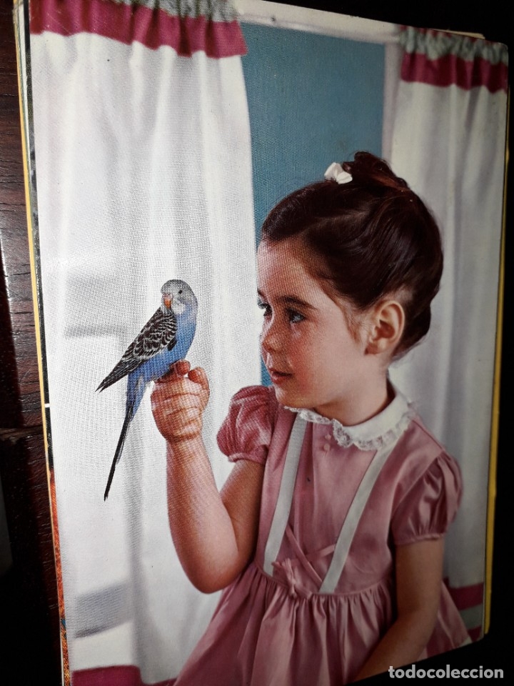 Postales: N&ordm; 33073 POSTAL NI&Ntilde;A CON PAJARO - Foto 1