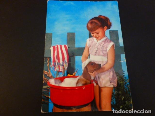 Postales: NI&Ntilde;A LAVANDO UN PERRO POSTAL - Foto 1