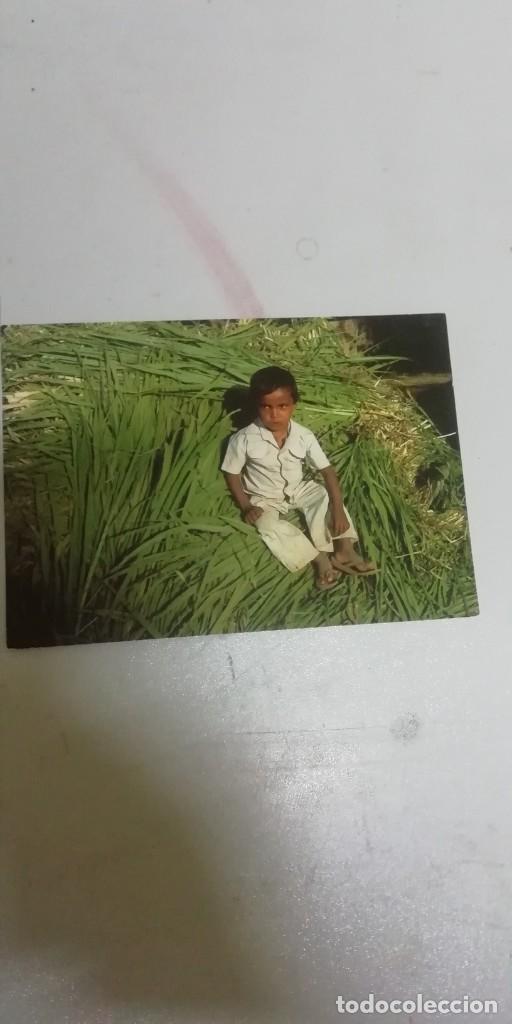 Postales: Postal con ni&ntilde;o - Foto 1