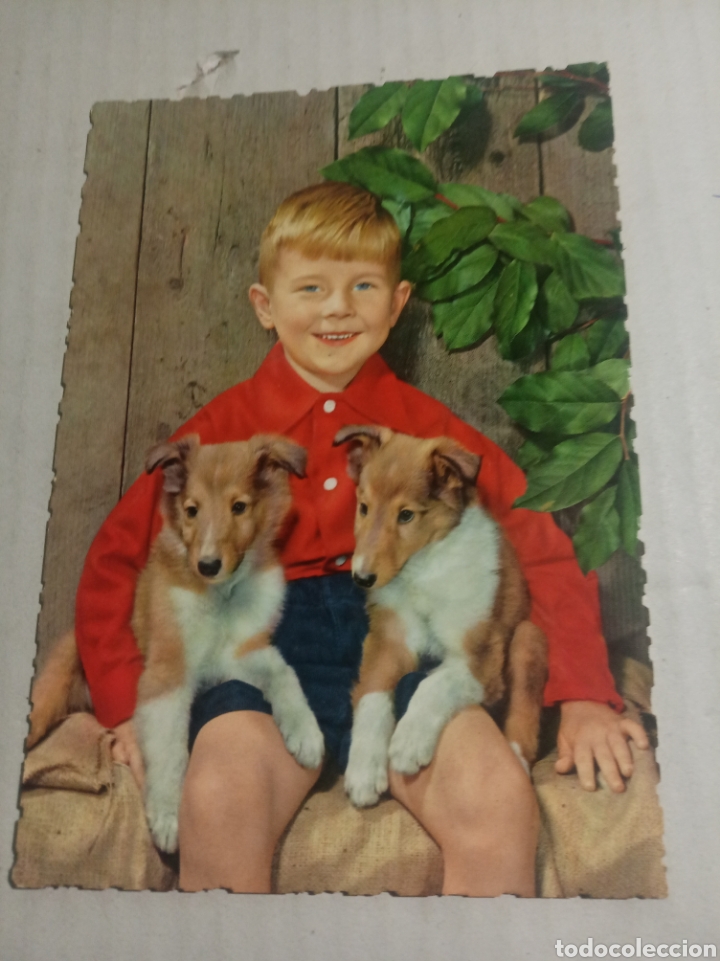 Postales: Ni&ntilde;o con perros - Foto 1