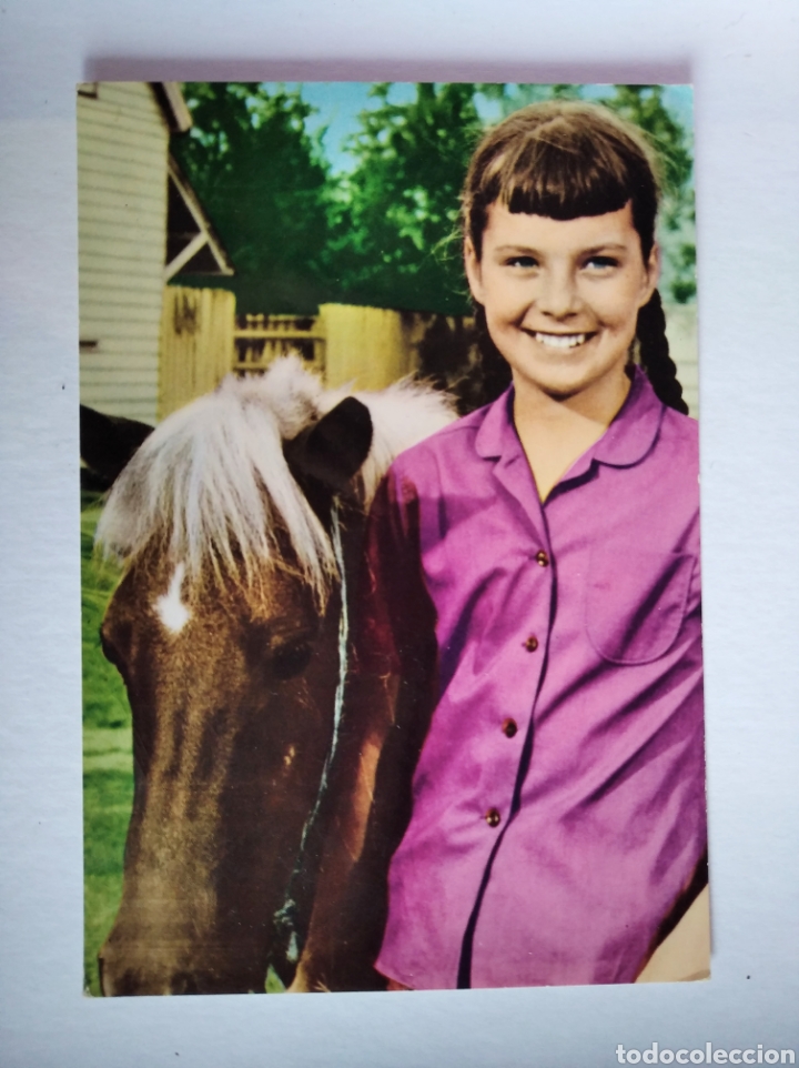 Postales: Postal ni&ntilde;a y caballo - Foto 1