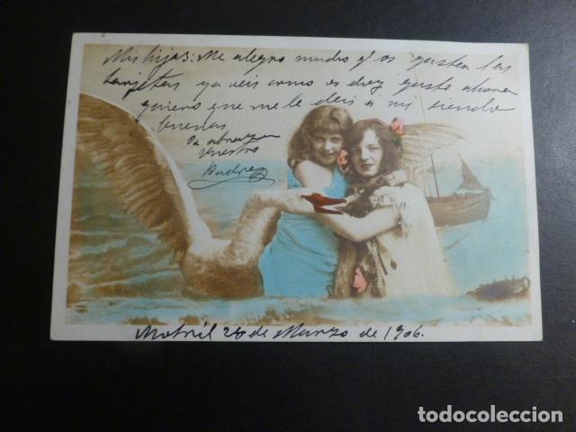 Postales: NI&Ntilde;AS CON CISNE POSTAL - Foto 1