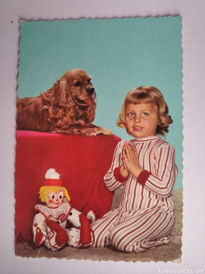 Postales: Postal ni&ntilde;a con perro c y z - Foto 1