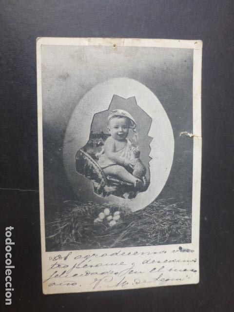 Postales: NI&Ntilde;O EN HUEVO POSTAL - Foto 1