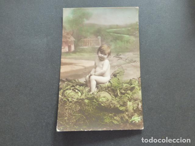 Postales: NI&Ntilde;O EN HUERTO POSTAL - Foto 1