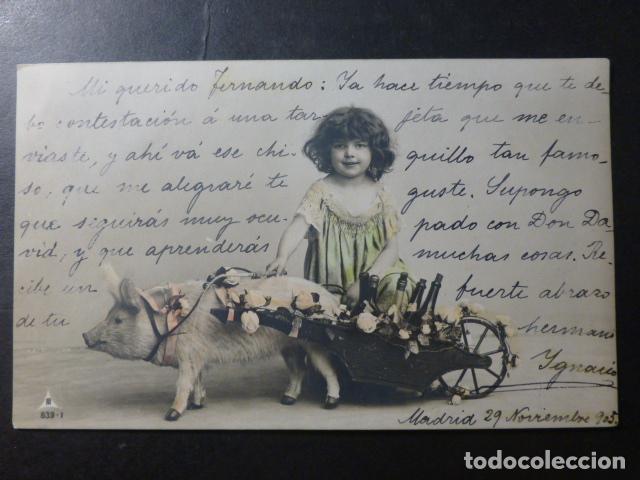 Postales: NI&Ntilde;A CON CERDITO CON CARRITO POSTAL - Foto 1