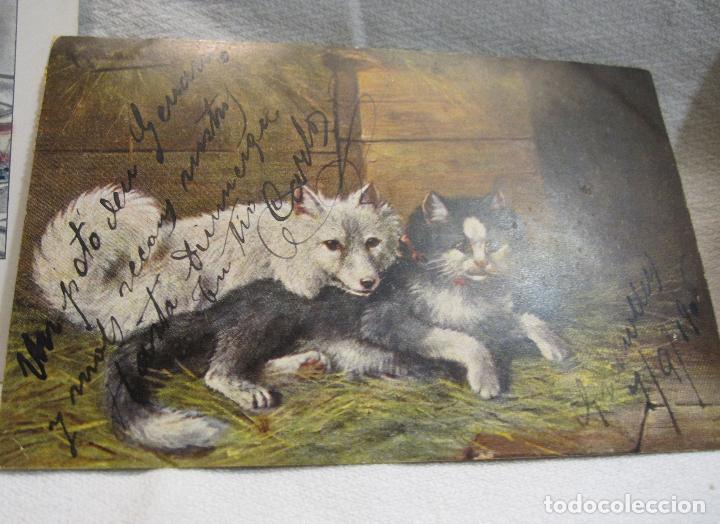 Postales: 5 POSTALES ANIMALES Y NI&Ntilde;OS. CIRCULADAS - Foto 4