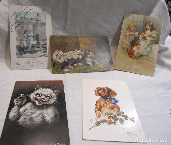 Postales: 5 POSTALES ANIMALES Y NI&Ntilde;OS. CIRCULADAS - Foto 1