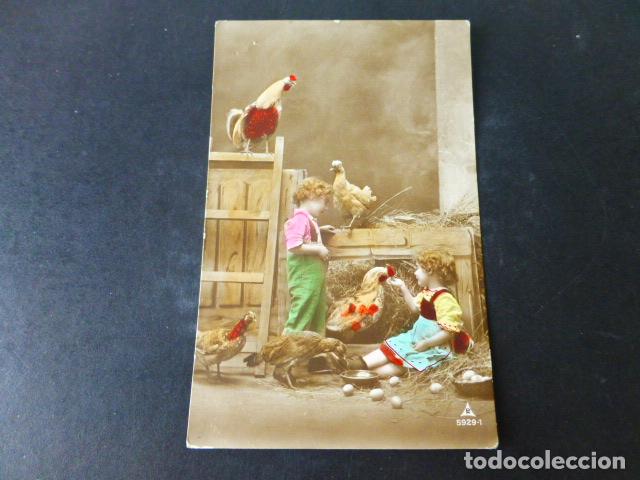 Postales: NI&Ntilde;OS EN GALLINERO POSTAL - Foto 1