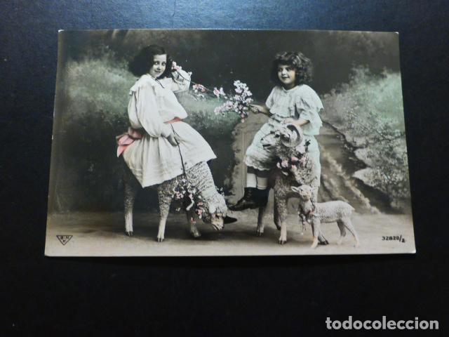 Postales: NI&Ntilde;AS CON OVEJAS POSTAL - Foto 1