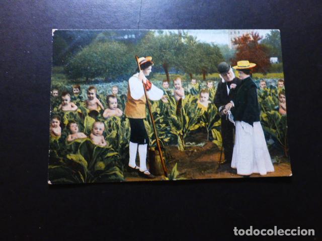 Postales: HUERTA SEMBRADA DE NI&Ntilde;OS POSTAL - Foto 1