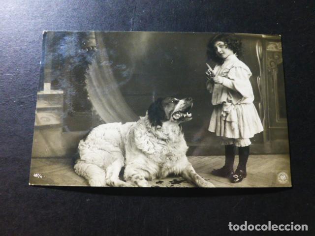 Postales: NI&Ntilde;A CON PERRO POSTAL - Foto 1