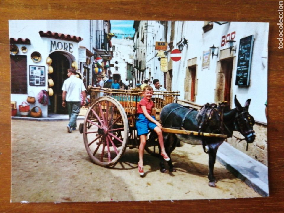 Postkarten: POSTAL NI&Ntilde;O Y CARRO CON BURRO