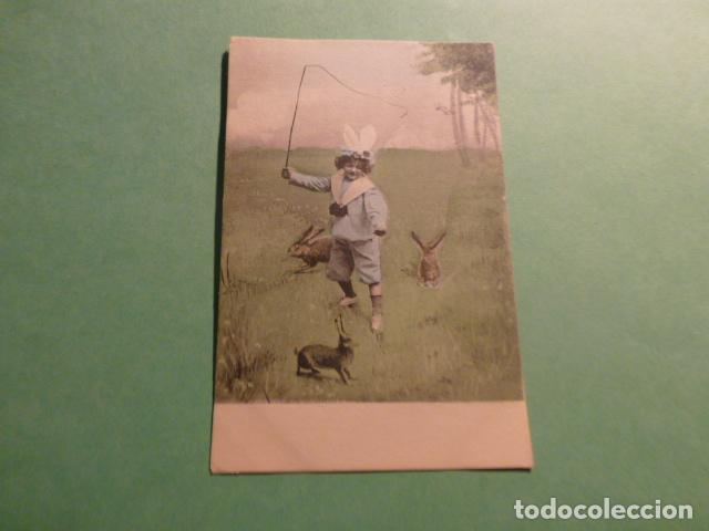 Postales: NI&Ntilde;O EN EL CAMPO CON CONEJOS POSTAL - Foto 1