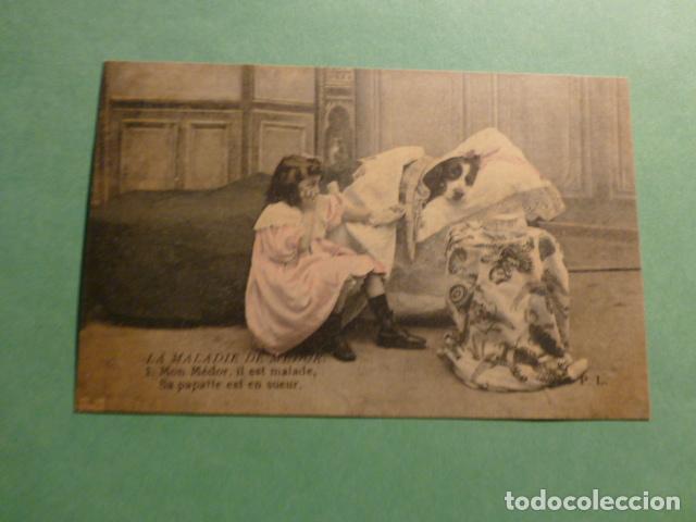 Postales: NI&Ntilde;A CON PERRO POSTAL - Foto 1