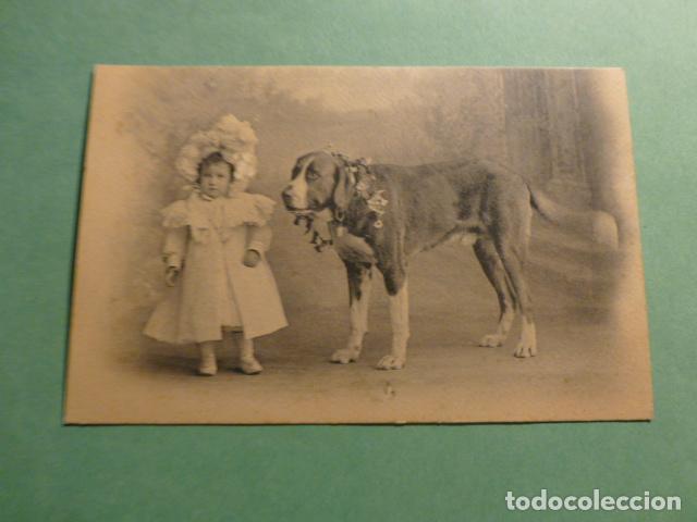 Postales: NI&Ntilde;A CON PERRO POSTAL - Foto 1