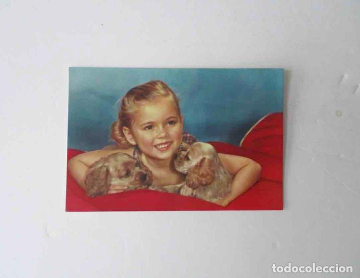 Postales: POSTAL NI&Ntilde;A CON PERRITOS - Foto 1