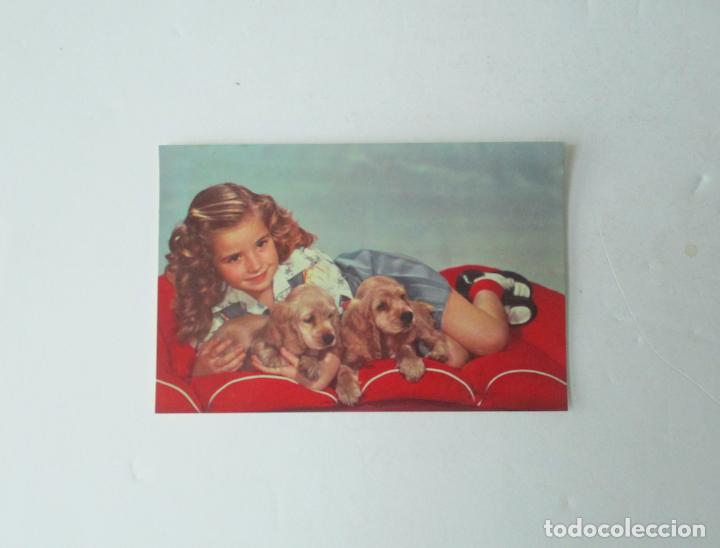 Postales: POSTAL NI&Ntilde;A CON PERRITOS - Foto 1