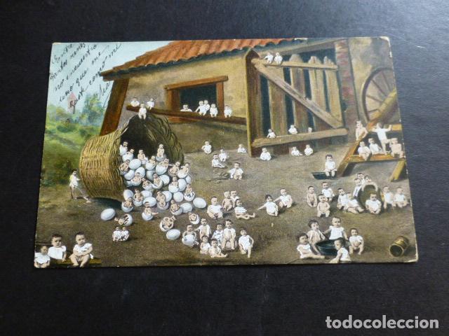 Postales: BEBES EN GALLINERO POSTAL - Foto 1