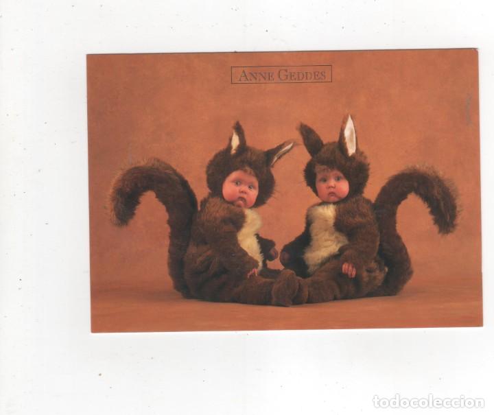 Postales: Anne Geddes. Ni&ntilde;os. - Foto 1