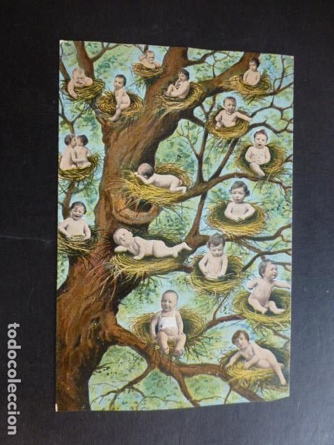 Postales: BEBES EN NIDOS POSTAL - Foto 1