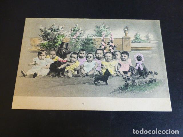 Postales: BEBES CON PERROS POSTAL - Foto 1