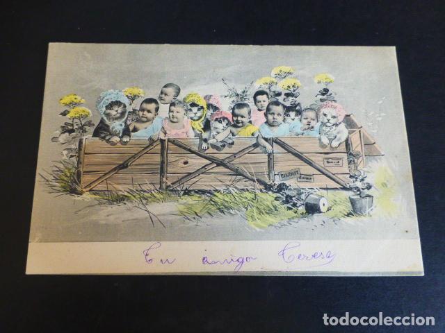 Postales: BEBES CON GATOS POSTAL - Foto 1
