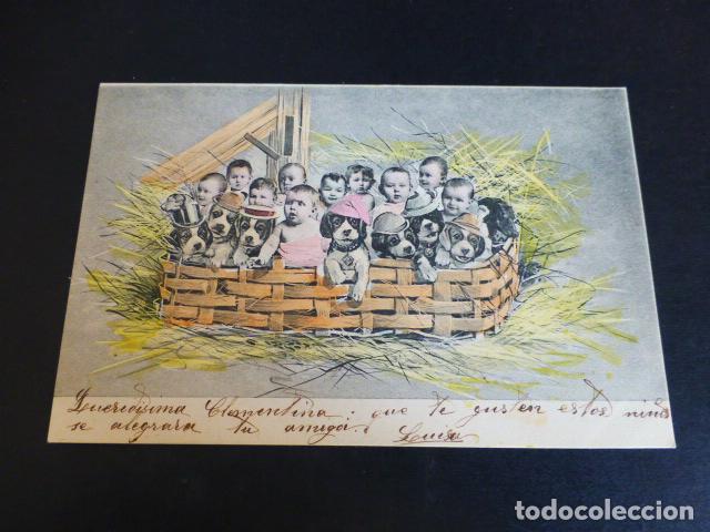 Postales: BEBES CON PERROS POSTAL - Foto 1